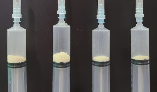 형성기 — 무른 석회