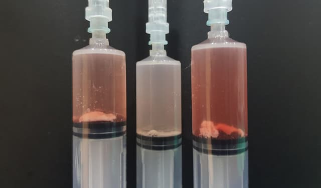 휴지기 — 단단한 석회