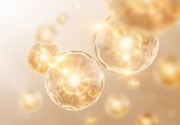 콜라겐패치 리제네텐 시술 과정 — ③ 패치 부착